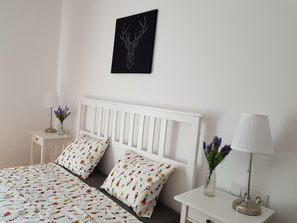 Oberiter Apartments - Center Of Zagreb, Fast Wifi, Ac, Kitchen, Parking Eksteriør bilde